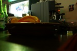 dsc03647.jpg